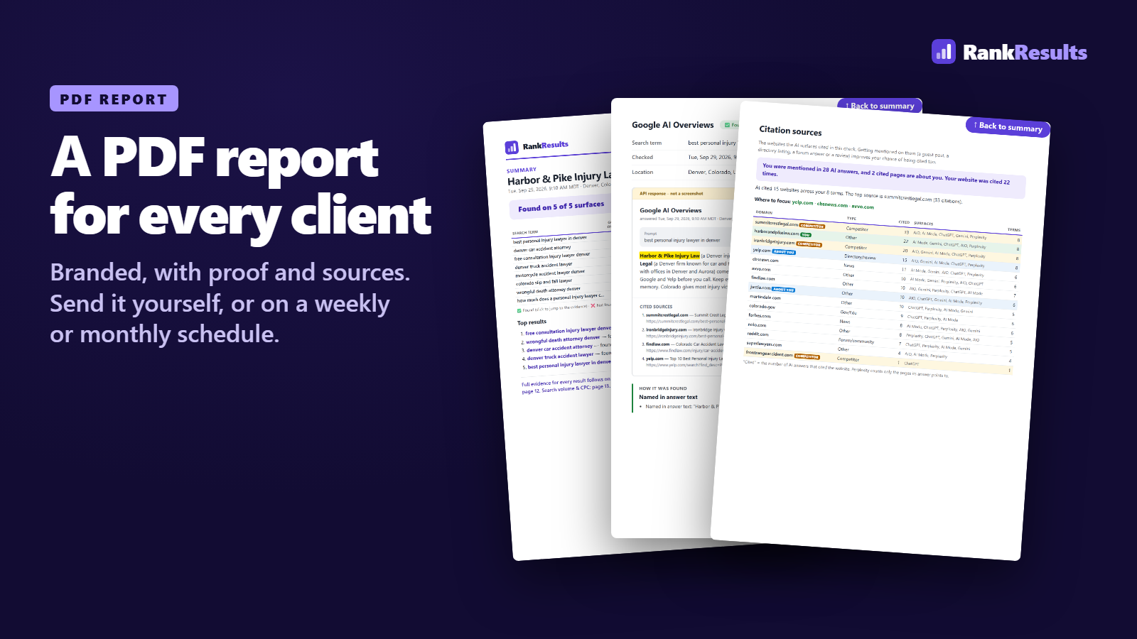 Three pages of a RankResults PDF report: the summary, an evidence page and the citation sources.